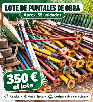 Lote 55 Puntales de Obra