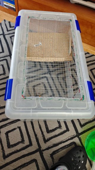 Jaula Hamster/Cobaya Transparente con Malla
