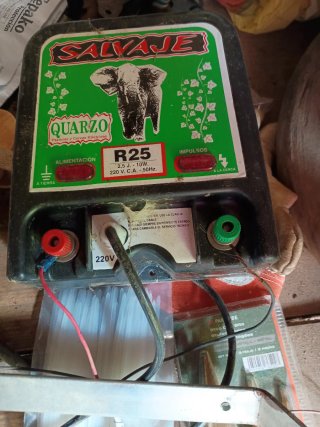 Pastor Eléctrico Salvaje Quarzo R25