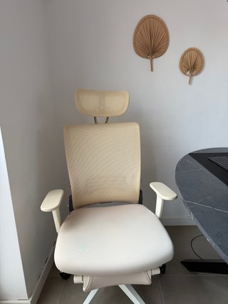 Silla Ergonómica FLEXISPOT Foldex