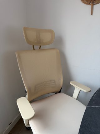 Silla Ergonómica FLEXISPOT Foldex