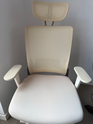 Silla Ergonómica FLEXISPOT Foldex