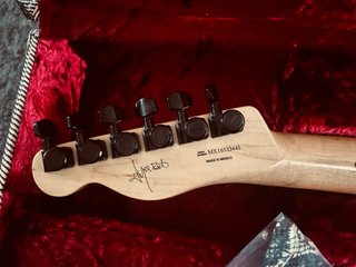 Guitarra Fender Telecaster Jim Root Slipknot
