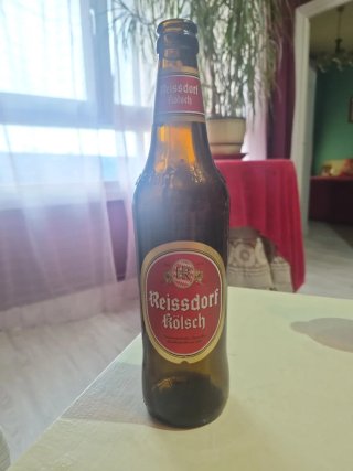 Lote de 5 botellas de cerveza vacías