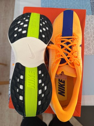 Zapatillas Nike Pegasus Plus originales