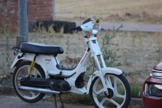 Derbi Variant Blanca