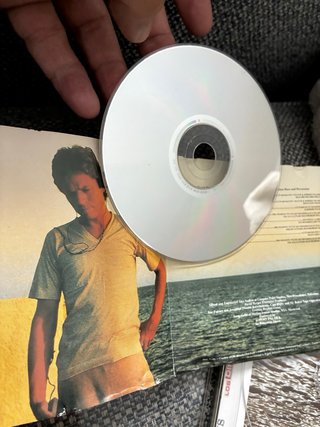 Robert Palmer Clues CD