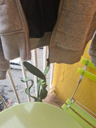 Chaqueta Rough Soul gris talla S