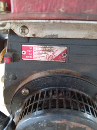 Lote de 2 Bombas de Agua