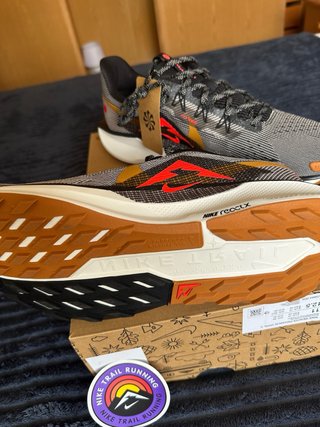 Zapatillas Trail Nike Pegasus Trail 4 Talla 45