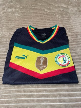 Camiseta de Senegal Puma