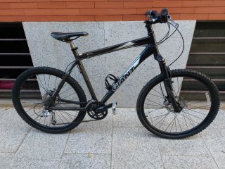 Bicicleta Giant Terrago