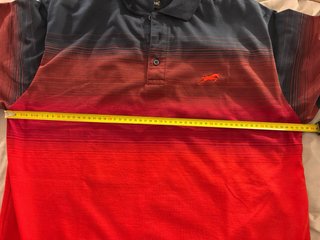 Polo Hugo Samuel