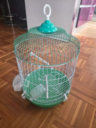 Pajarera verde con accesorios