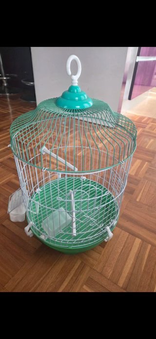 Pajarera verde con accesorios