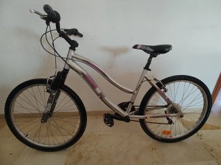Bicicleta de montaña plateada