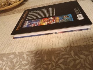 La Espada Salvaje de Conan 20 Panini