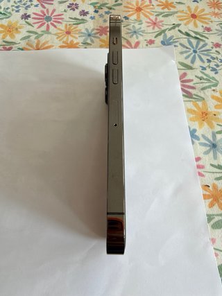 iPhone 13 Pro Gris Espacial 128 gb