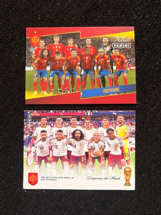 Lote 2 Cromos Panini Selección Española Fútbol