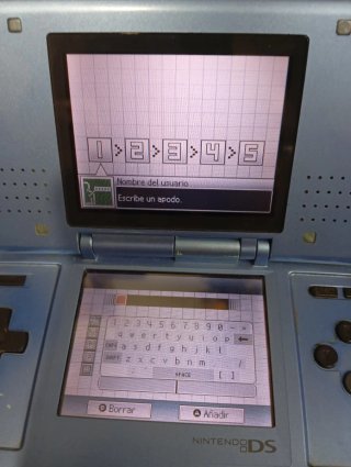 Nintendo DS Verde con Cargador y Juego