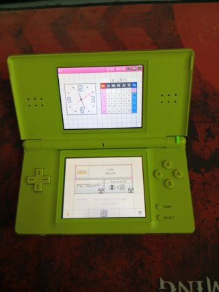 Nintendo DS Verde con Cargador y Juego