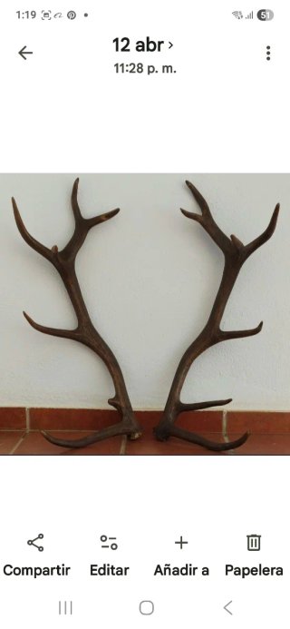 Réplicas de astas de ciervo de madera