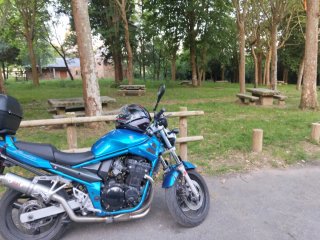 Suzuki Bandit Carburación Azul