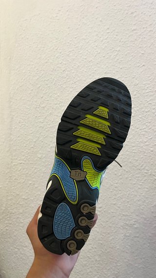 Nike TN Air Max Plus