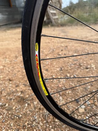 Bicicleta Orbea Asphalt