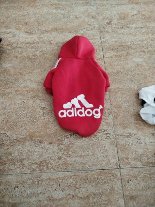 Ropa para perro (Chihuahua)