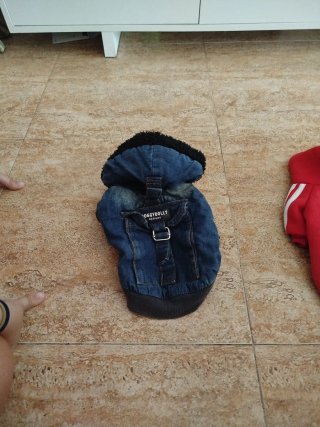 Ropa para perro (Chihuahua)