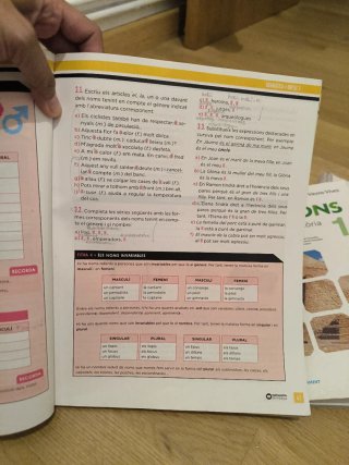 Llengua catalana, 1 ESO
