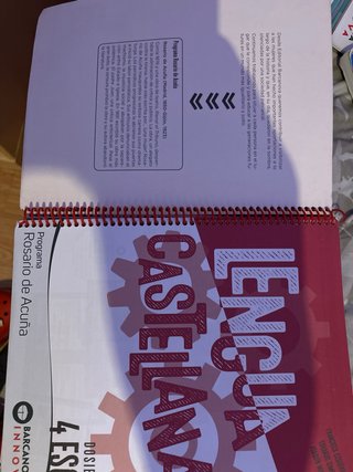 Lengua castellana, 4 ESO, Programa Rosario de A...