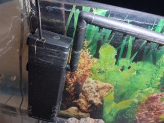 Acuario 100L con mueble