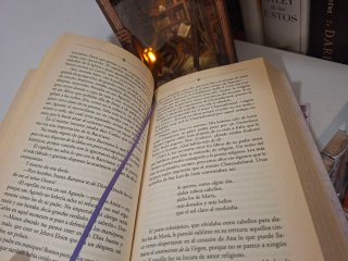 Libro regenta