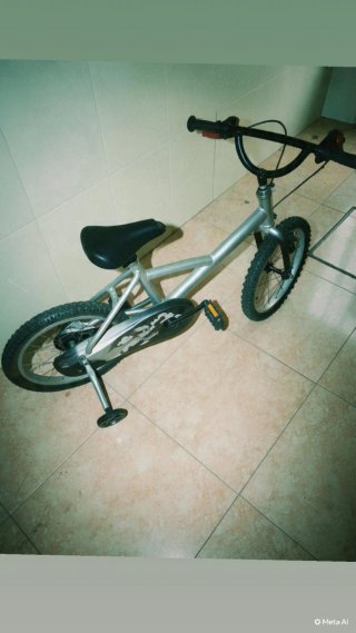 Bicicleta infantil con ruedines