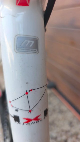 Bicicleta de Montaña Orbea Alma Carbono