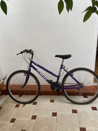 Bicicleta BH Florida P 810