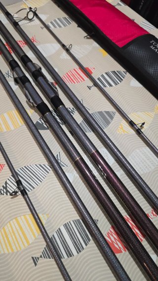 CAÑAS DAIWA TOURNAMENT MASTERISE 33-425H