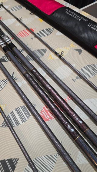 CAÑAS DAIWA TOURNAMENT MASTERISE 33-425H