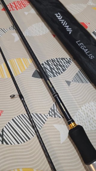 CAÑA DAIWA LEGALIS SEA BASS 820HMH 240