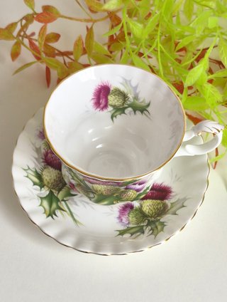 Royal Albert Taza y Platillo Porcelana Inglesa