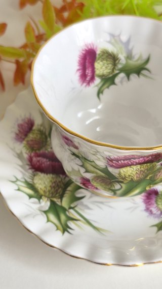 Royal Albert Taza y Platillo Porcelana Inglesa