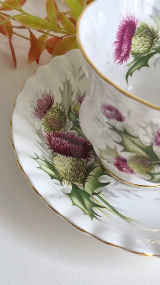Royal Albert Taza y Platillo Porcelana Inglesa