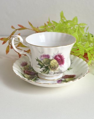 Royal Albert Taza y Platillo Porcelana Inglesa
