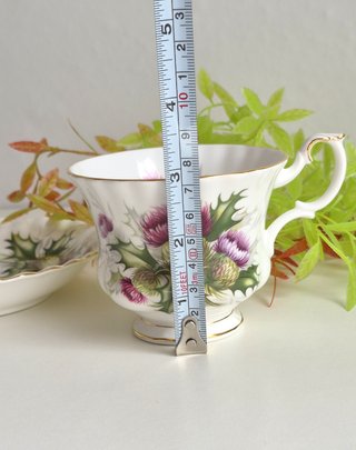 Royal Albert Taza y Platillo Porcelana Inglesa