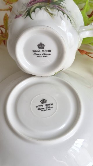 Royal Albert Taza y Platillo Porcelana Inglesa