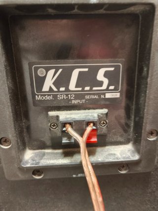 Altavoces DAS G12