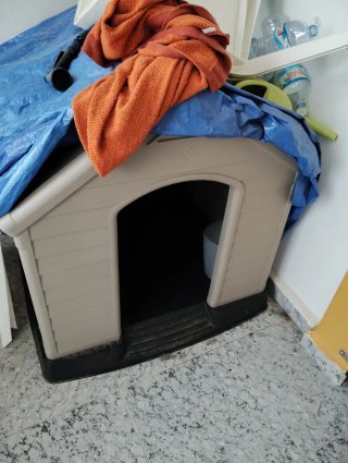 Caseta para Perro Grande