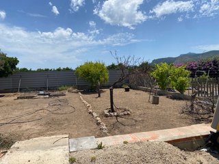 Huerto con árboles frutales